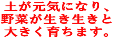 yCɂȂA ؂ 傫炿܂B